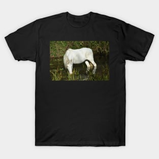 Wild Horse T-Shirt